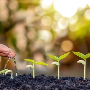 Mastering Concepts for Personal Growth and Change