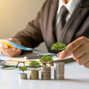 Financial Wellness Tips That Actually Survive Economic Storms