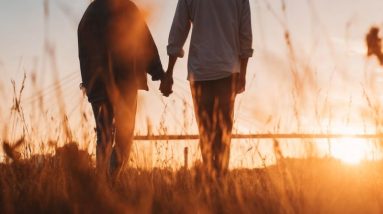 Relationships Wellness: Bond Unbreakable